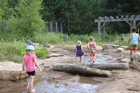 13 Tamarack Nature Center ideas white bear lake, nature center ...