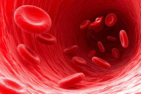 13 Penyebab Hb Rendah Yang Bikin Darah Rendah Penyebab Hb Rendah - Penyebab Hb Rendah