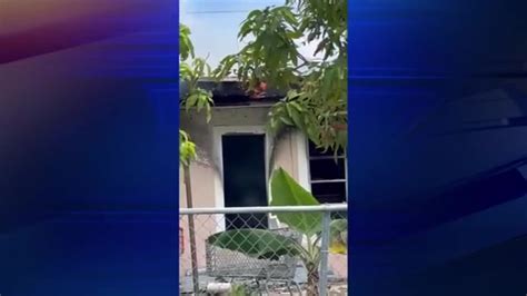 13 people displaced, 2 dogs killed after ‘extensive fire’ sparks in Miami Gardens home