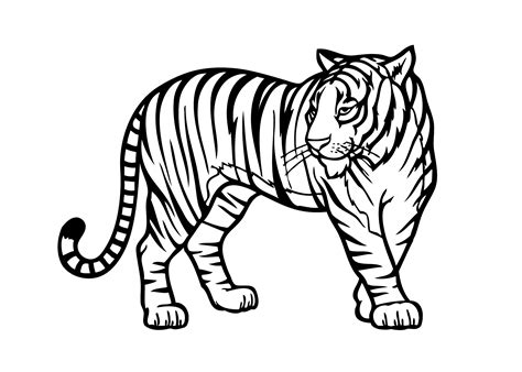 13 Tiger Coloring Pages Free Printables For Kids Baby Tigers Coloring Pages - Baby Tigers Coloring Pages