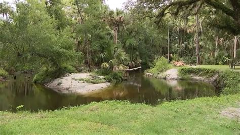 13-year-old boy escapes alligator attack in Winter Springs