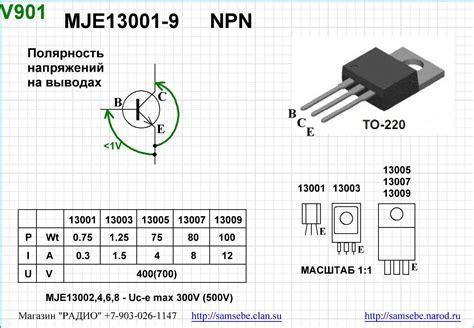 13009 Halı ve Koltuk Yıkama