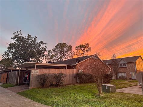 13079 Halı ve Koltuk Yıkama