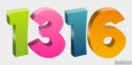 1316 Halı ve Koltuk Yıkama