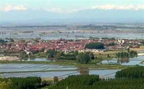 136087 Halı ve Koltuk Yıkama