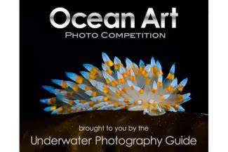 13th Annual Ocean Art Underwater Photo Contest … - raincitystudios.com
