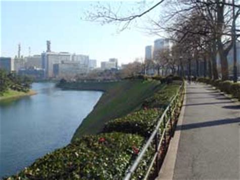 14年03月の記事 Ripple Effect Blog