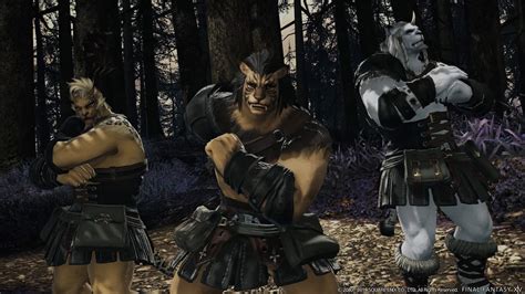14+ Ffxiv Form And Function Male Pics