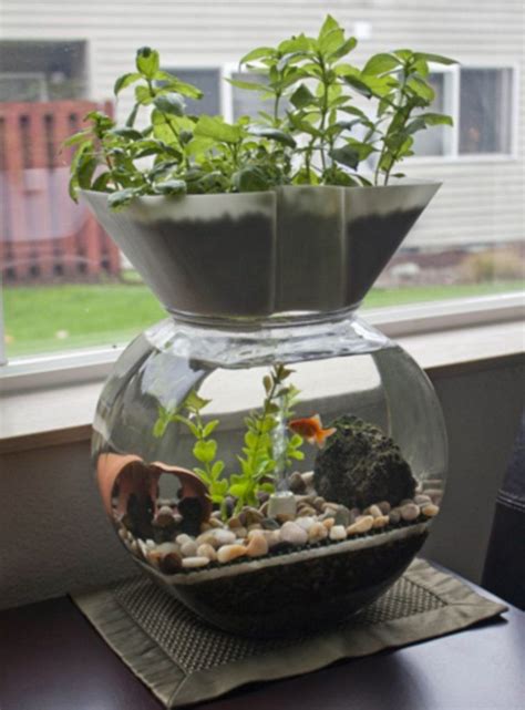 14+ Marvelous Small Indoor Aquarium Ideas To Make Your House