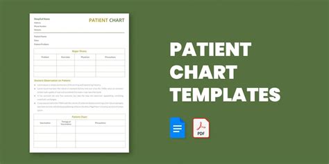 14+ Patient Chart Templates in Word Excel Apple Numbers Apple