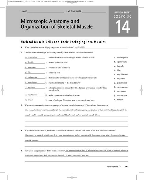 14 Anatomy Exercise Microscopic Answers
