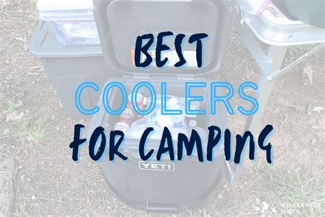 14 Best Coolers For Camping in 2024 (Hard Shell, Electric & More)