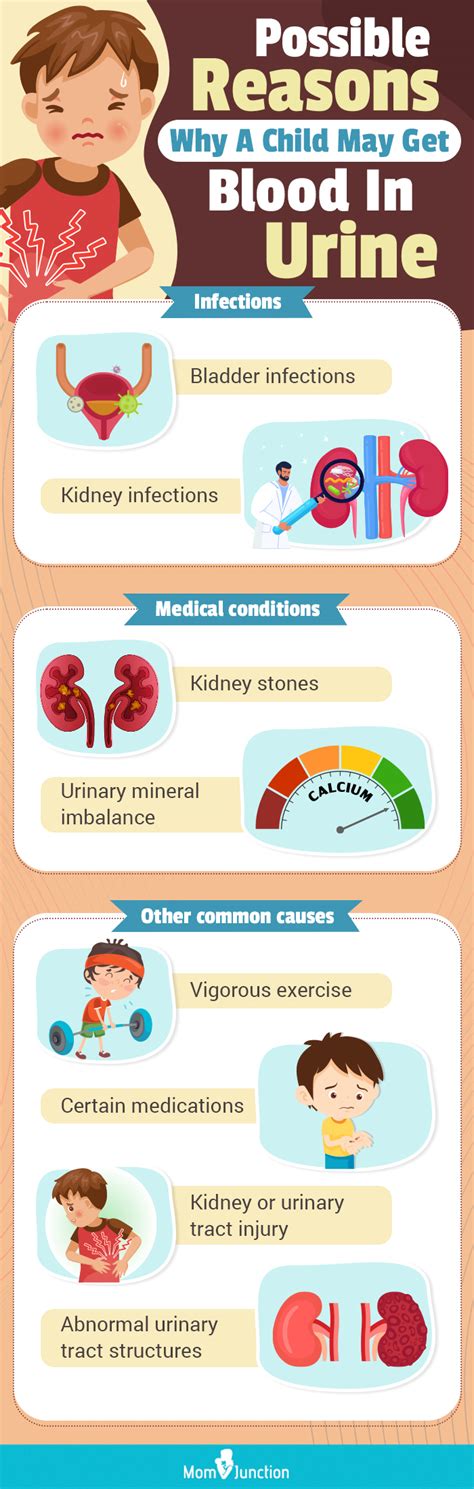 14 Causes Of Blood In Urine (Hematuria) In Child