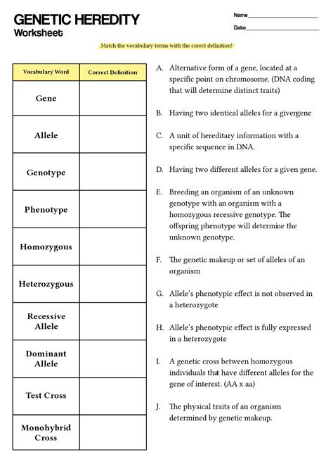 14 DNA Code Worksheet Free PDF at