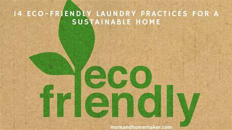 14 Eco-Friendly Laundry Practices for a Sustainable Home - raincitystudios.com