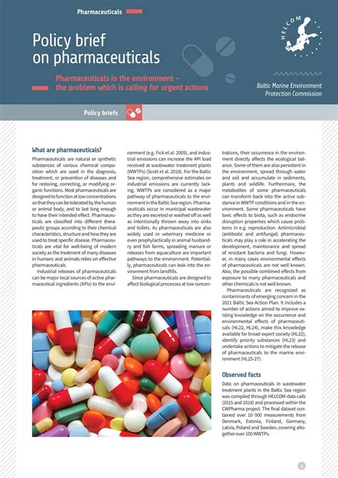 14 Policy Brief Templates And Examples Pdf Doc Examples