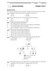 14 Study Human Guide Heredity Answers Chapter