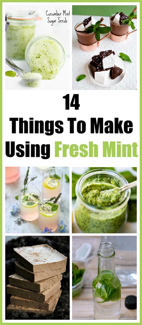 14 Things To Make Using Fresh Mint - A Easy To Grow Herb