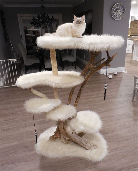 14 Unique Cat Trees And Towers Your Cat Can’t Live Without!