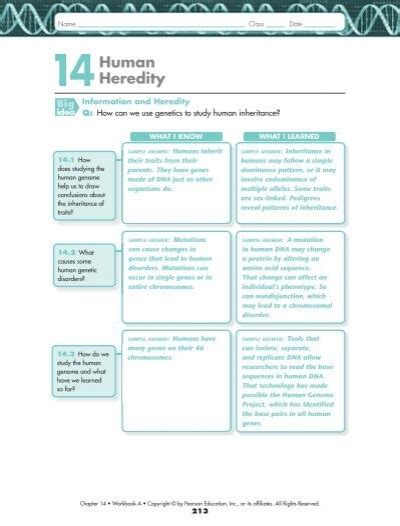 14 Work Human Heredity Answers Chapter