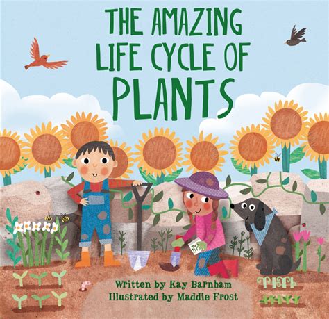 14 Best Plant Life Cycle Books For Kids Life Cycle Of A Plant Booklet - Life Cycle Of A Plant Booklet