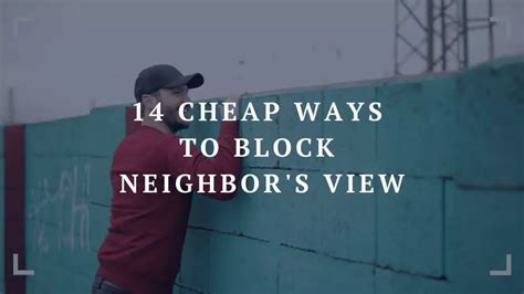 14 Cheap Ways To Block Neighbor X27 S Neighbors Back To Back Fences - Neighbors Back To Back Fences