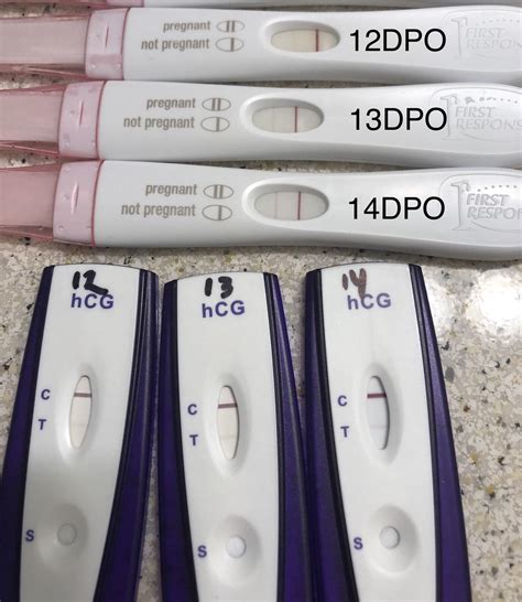 Oct 7, 2011 at 11:56 AM. I am 14 DPO today and I went to the clinic and got the nurse to do a pregnancy test and she told me it was negative. I can't buy any first response type tests because no stores in my small town sell any pregnancy tests. She told me that the kind of test they have there sometimes can't get a positive until you are like 5 .... 