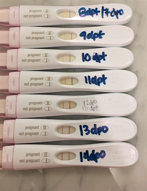14 dpo pregnancy test pictures. Home pregnancy tests are based on the detection of the pregnancy hormone human chorionic gonadotrophin (hCG) in your urine. When hCG is detected, the test will return a positive result. When hCG is not detected, the test comes back negative. A positive result is usually indicated by two lines, either side-by-side or in a plus sign. 
