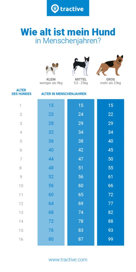 14 hundejahre in menschenjahre