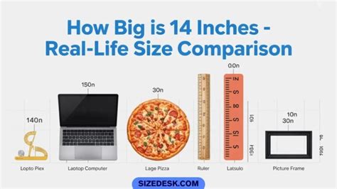 14 Inches