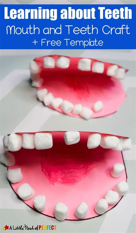 14 Preschool Dental Activities Teeth Art Amp Craft Teeth Activities For Kindergarten - Teeth Activities For Kindergarten