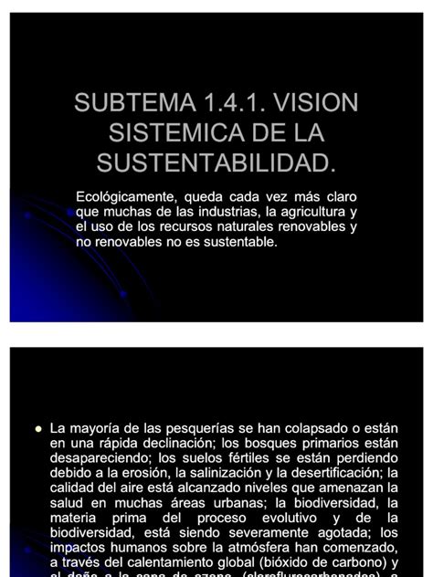 14 Vision Sistematica De La Sustentabilidad 3