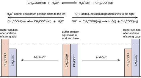 14.6 Buffers - Chemistry 2e | OpenStax - wintechmobiles.com