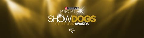 140 – Show Dog of the Year Awards Corey Benedict - Pure Dog Talk