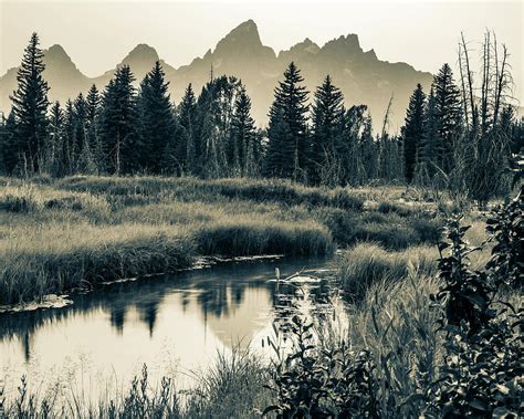 140+ Silhouette Of Grand Teton National Park Stock …