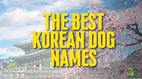 140 Korean Dog Names And Their Meanings - Kjovi