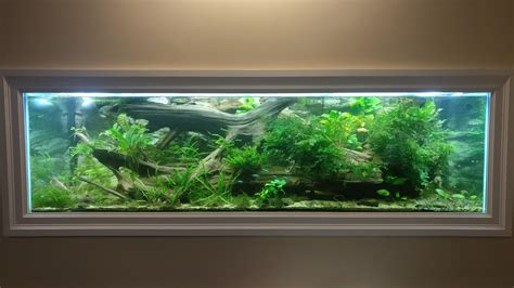 140 gallon fish tank. Things To Know About 140 gallon fish tank. 