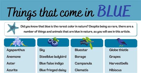 140 Things That Are Blue In Nature Color Blue Color Objects For Kids - Blue Color Objects For Kids