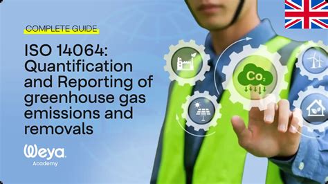 14064 Halı ve Koltuk Yıkama