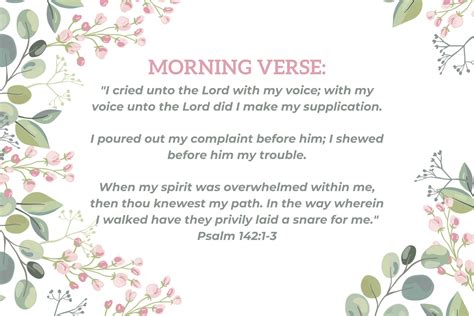 142 Halı ve Koltuk Yıkama