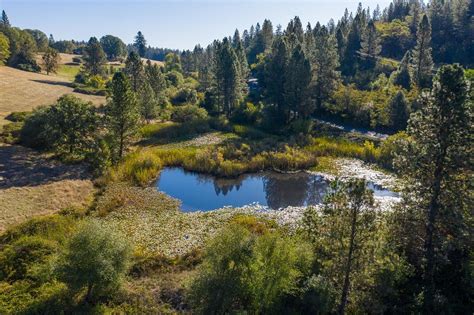 14304 Bitney Springs Rd, Nevada City, CA 95959 Redfin