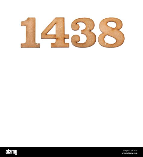 1438 Halı ve Koltuk Yıkama