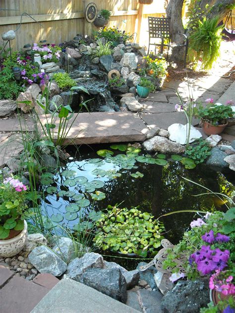 15 Amazing Small Garden Pond Ideas - Sefton … - raincitystudios.com