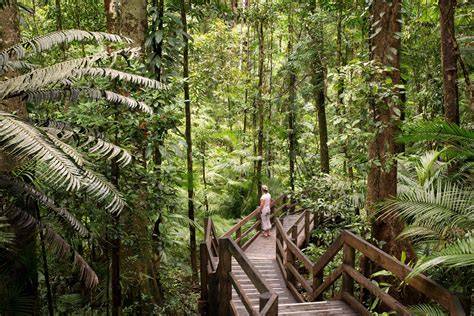 15 Best Rainforest Destinations Around the World - Celebrity Cruises - raincitystudios.com