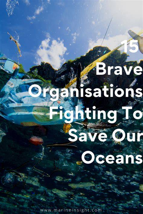 15 Brave Organisations Fighting To Save Our Oceans - Marine Insight - raincitystudios.com