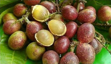 15 Buah Langka dan Unik di Indonesia - Ngopibareng - raincitystudios.com