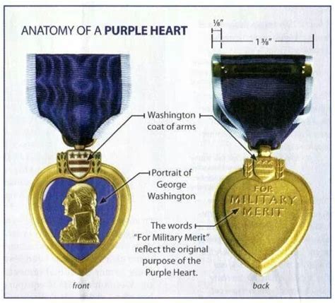 15 Best Purple Heart Medal ideas - Pinterest