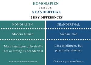 15 Difference Between Homosapien And Neanderthal … - wintechmobiles.com