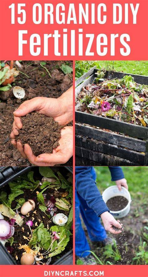 15 DIY Organic Fertilizer Recipes for Your Garden - raincitystudios.com