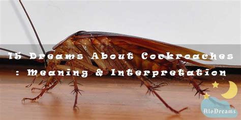 15 Dreams About Cockroaches : Meaning & Interpretation - AloDre…